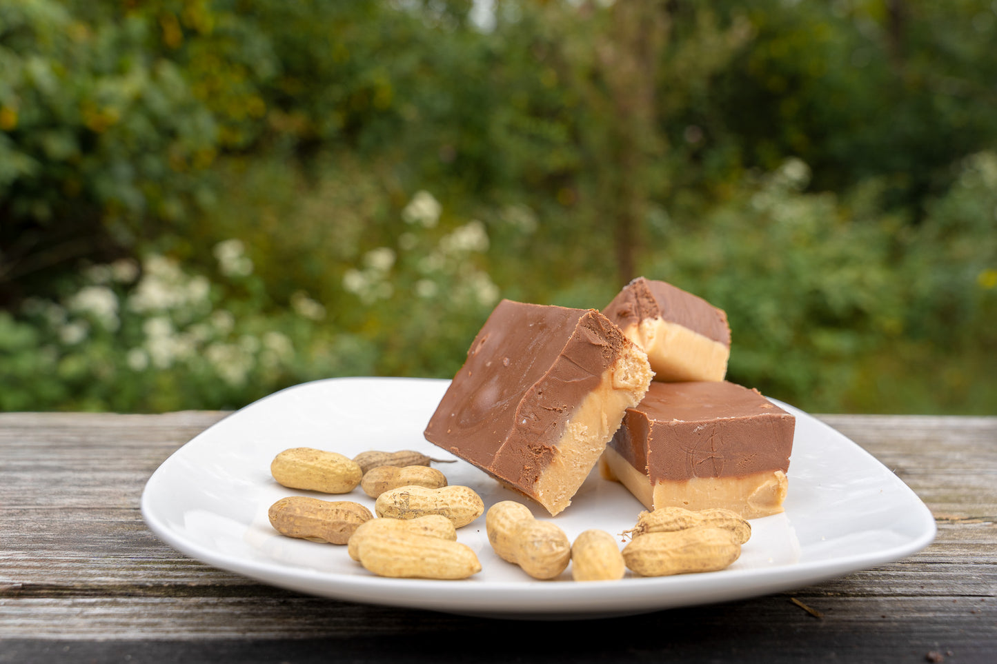 Chocolate Peanut Butter Fudge