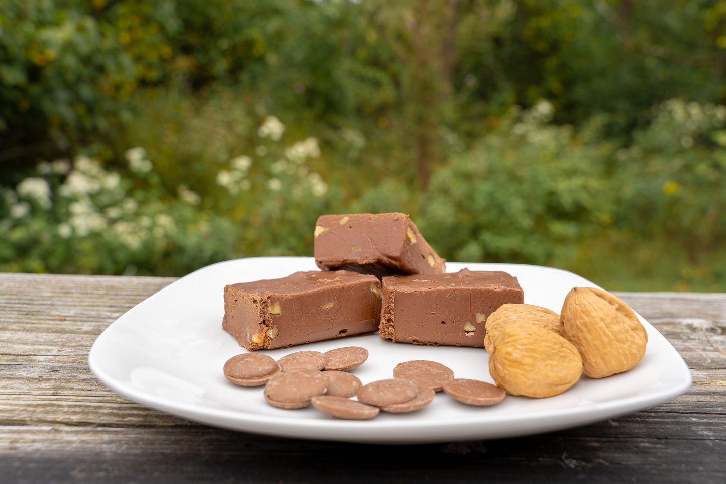 Chocolate Walnut Fudge