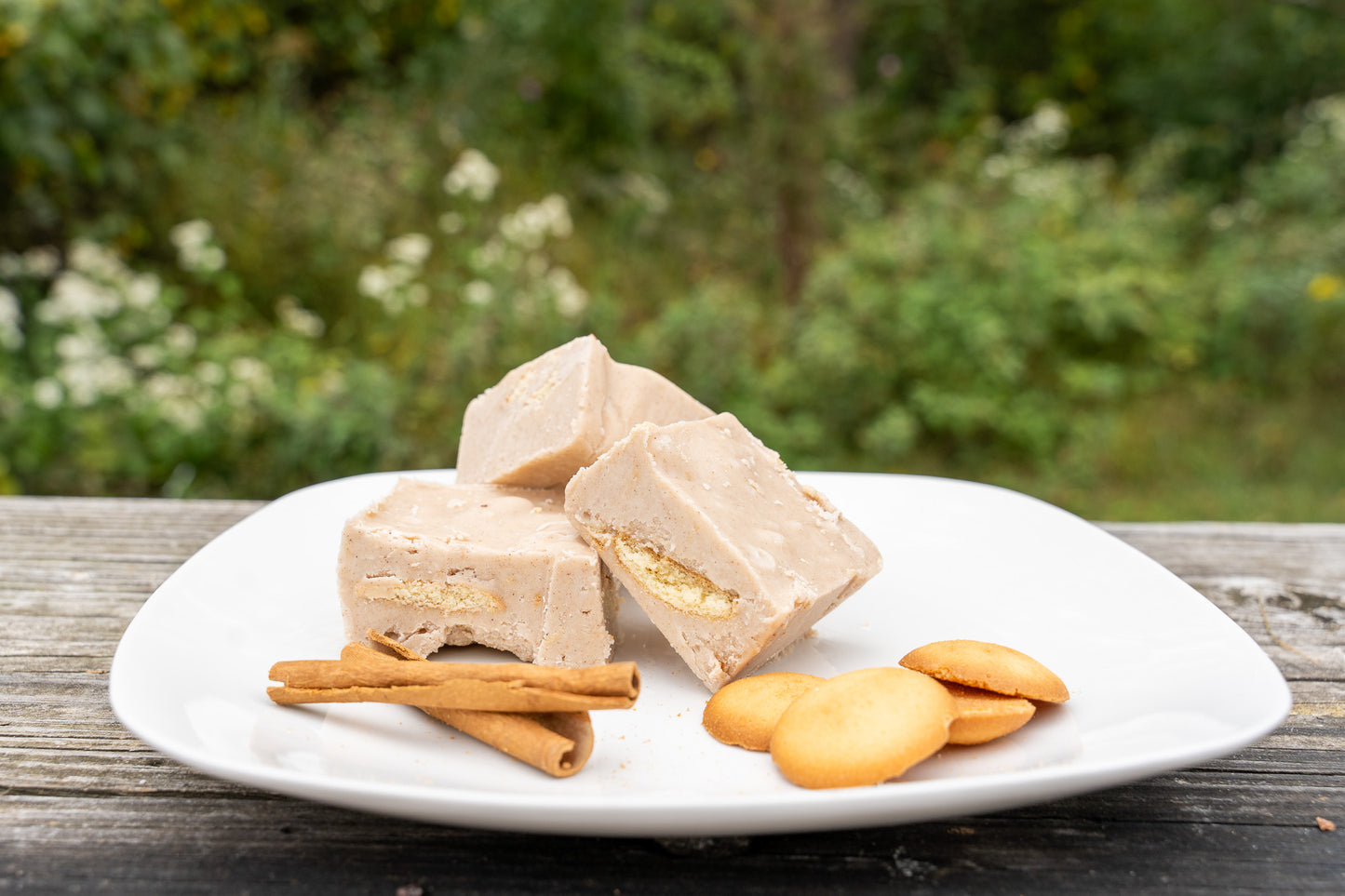 Cinnamon Crumb Cake Fudge
