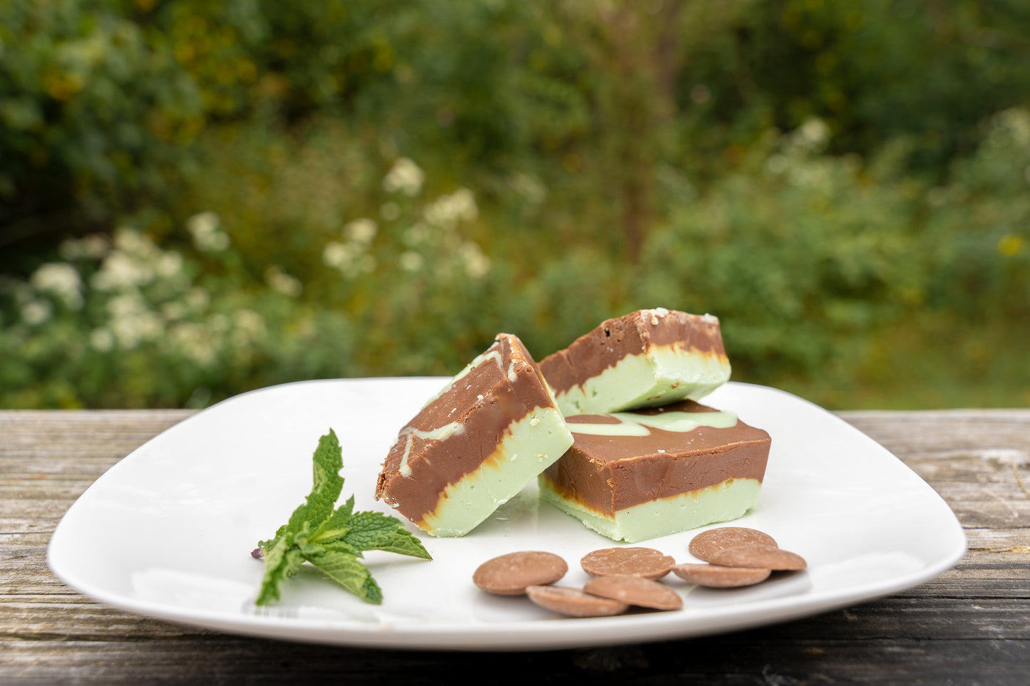 Mint Chocolate Fudge