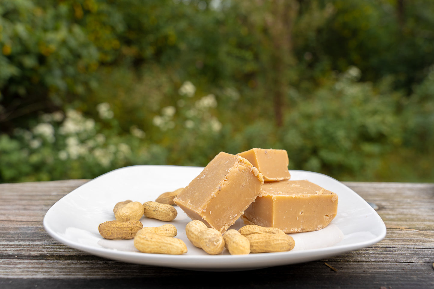 Peanut Butter Fudge